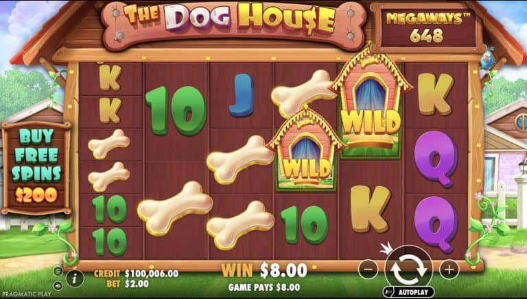 Keseruan Menggemaskan Kini Dalam The Dog House 2026